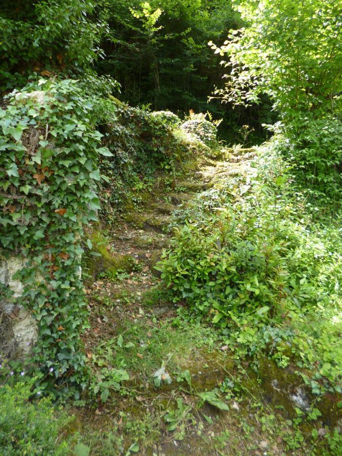 Bed and Breakfast Le Moulin De Cors Oulches Exteriér fotografie